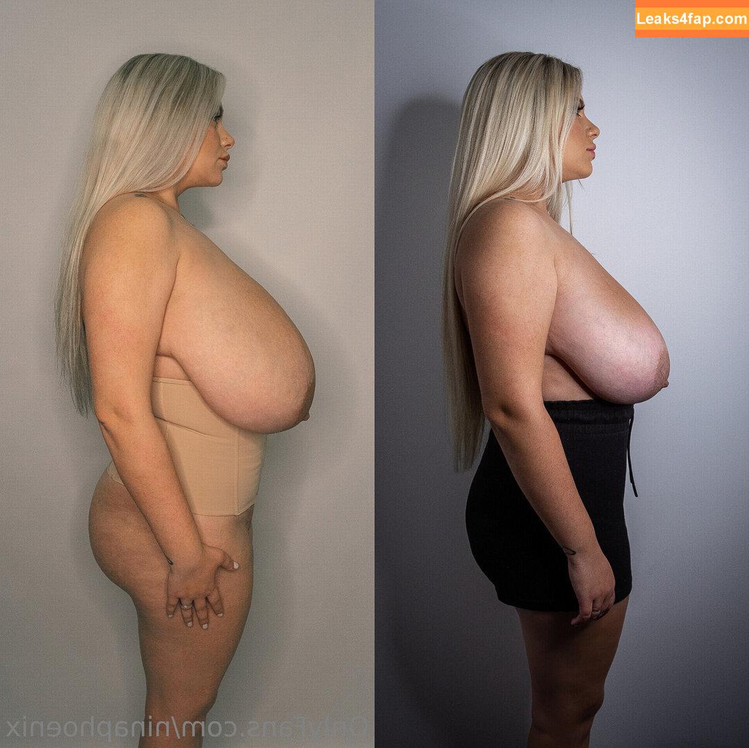NinaPhoenix / Tamara Dido / ninaphoenix_ leaked photo photo #0671