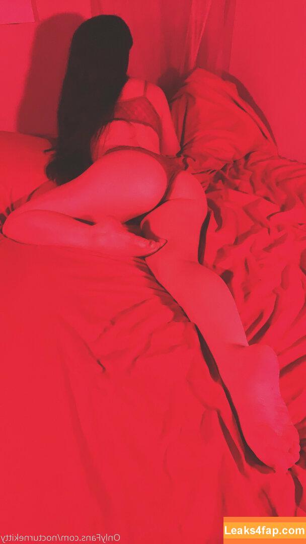 nocturnekitty / nocthekitten слитое фото фото #0020