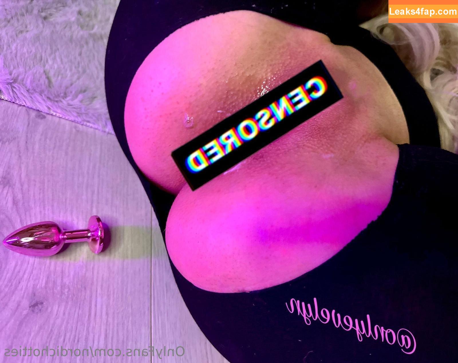 nordichotties / beauties.of.nordic leaked photo photo #0021