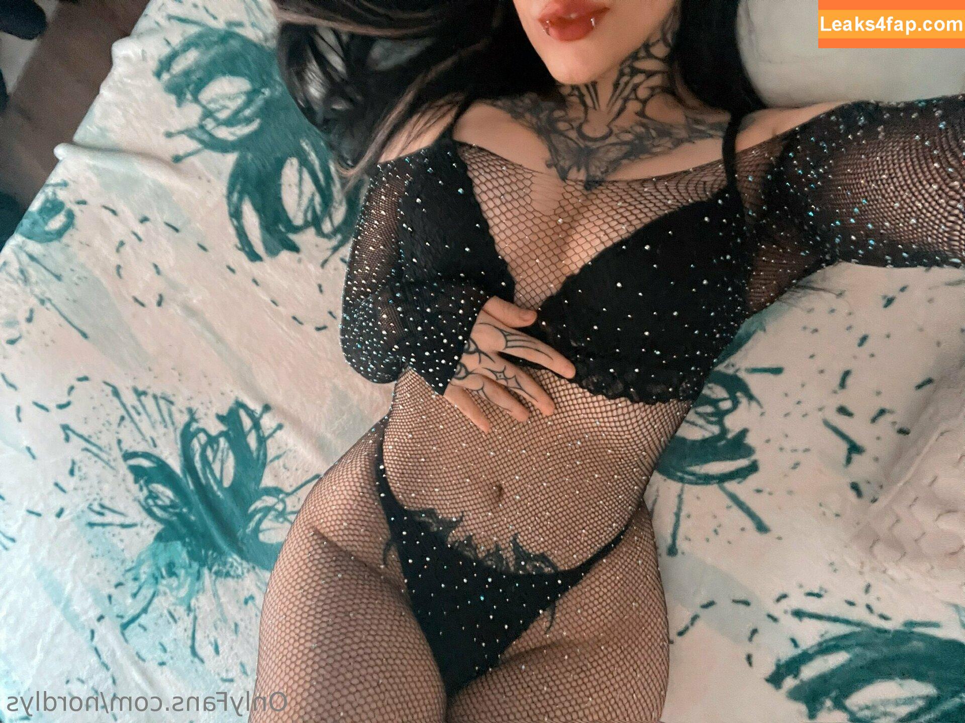 nordlys / norrdlys leaked photo photo #0183