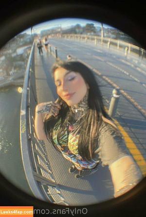 nordlys photo #0131