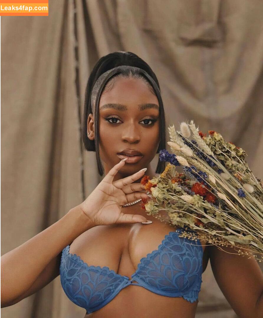 Normani / normani.sasha слитое фото фото #0010