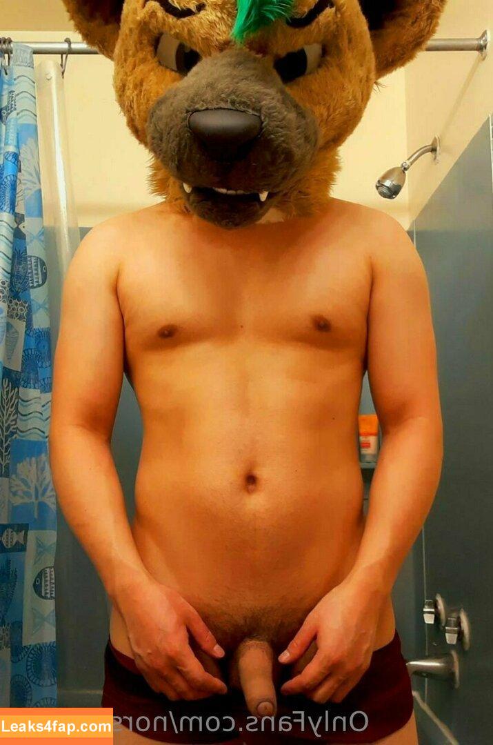 norsehyena / wasenaz leaked photo photo #0005