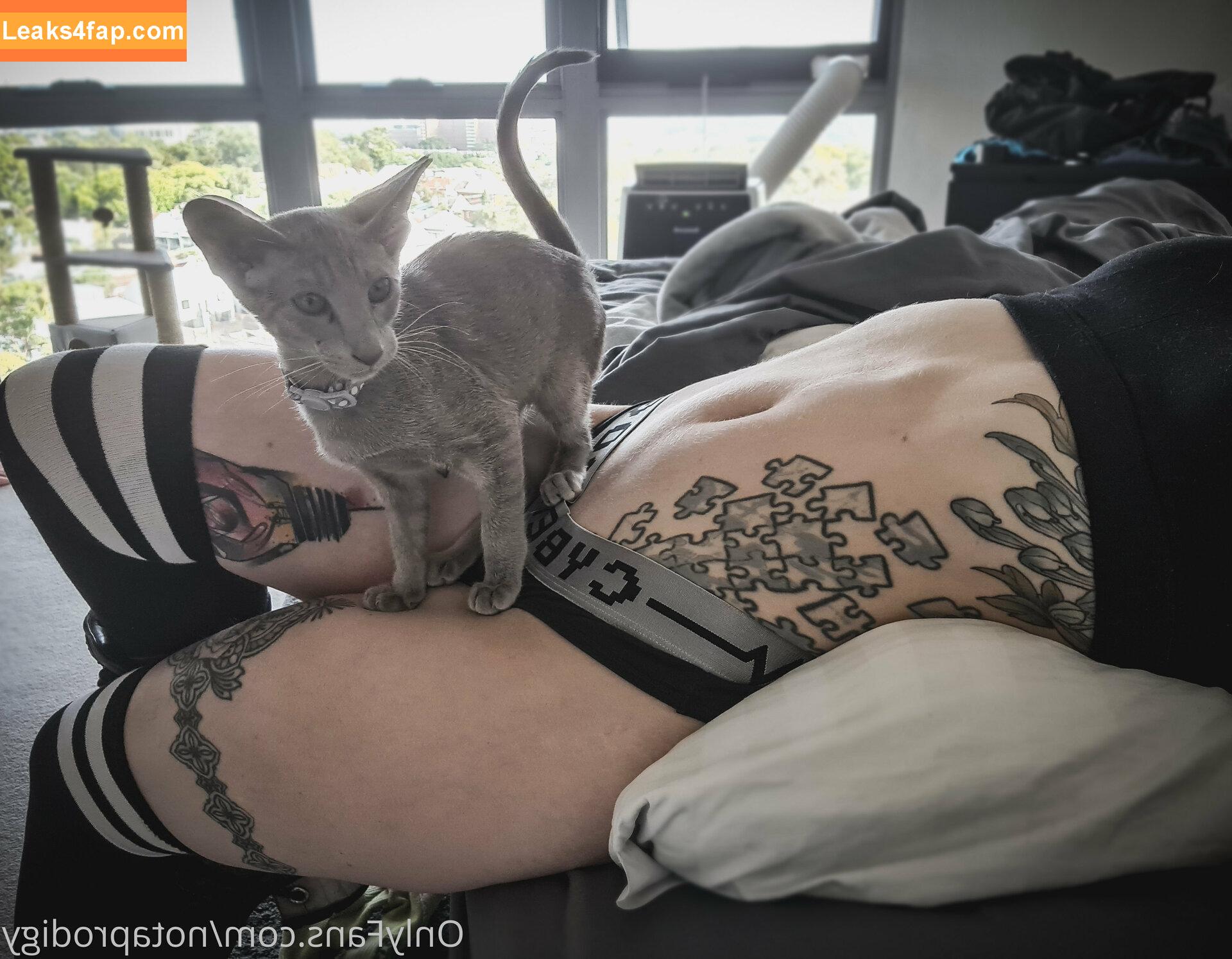 Notaprodigy leaked photo photo #0136