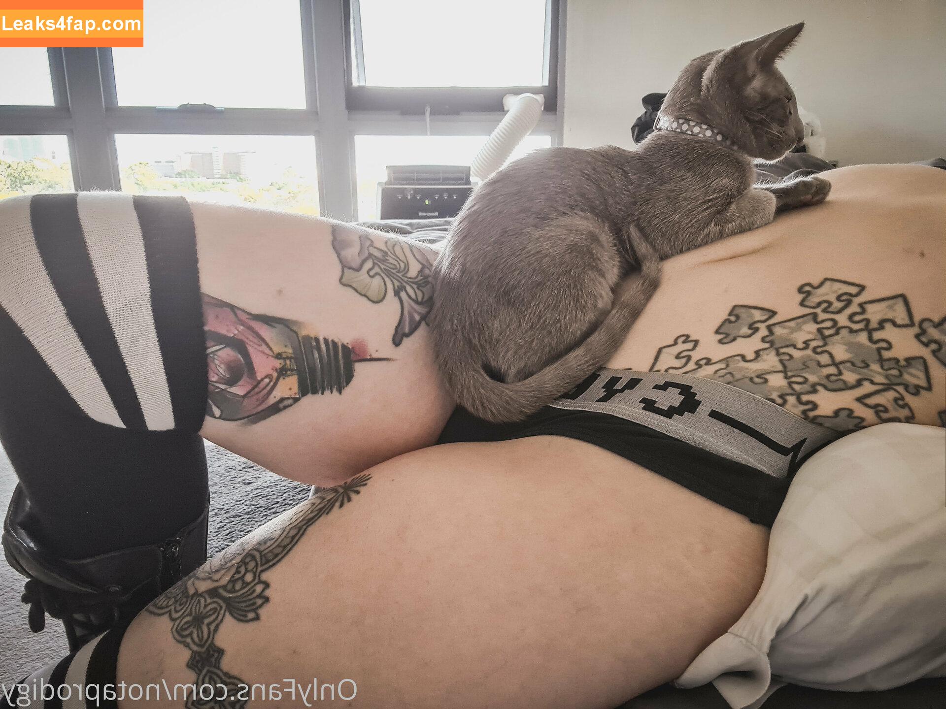 Notaprodigy leaked photo photo #0137