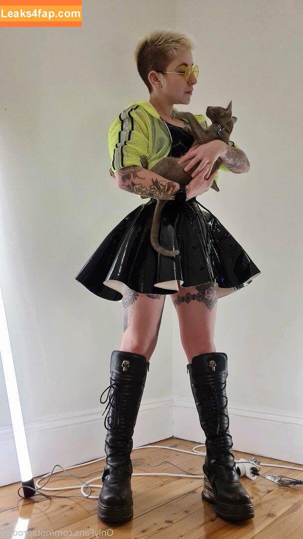 Notaprodigy leaked photo photo #0347