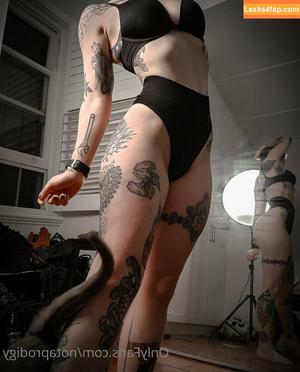 Notaprodigy photo #0011