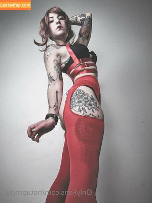 Notaprodigy photo #0027