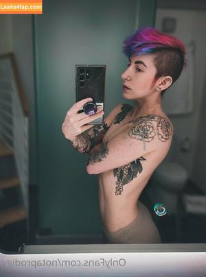 Notaprodigy photo #0166