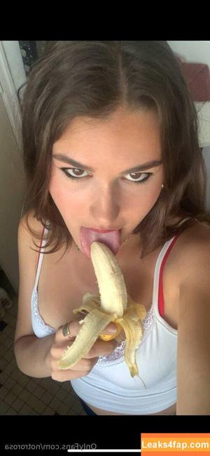 notrorosa photo #0015