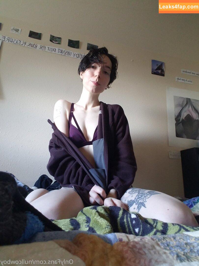 nullcowboy / neoncowboys leaked photo photo #0014