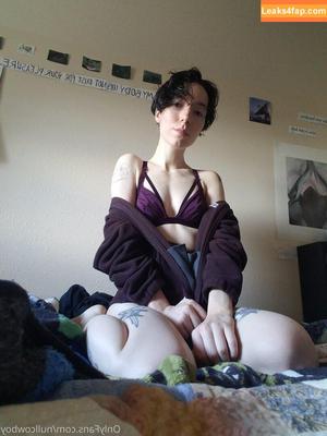 nullcowboy photo #0013