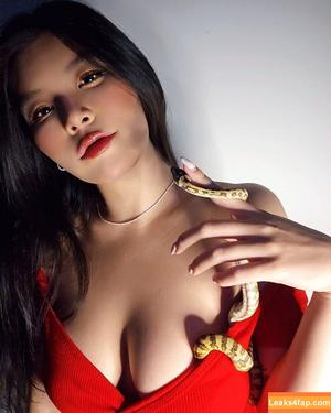 nvtsha photo #0038