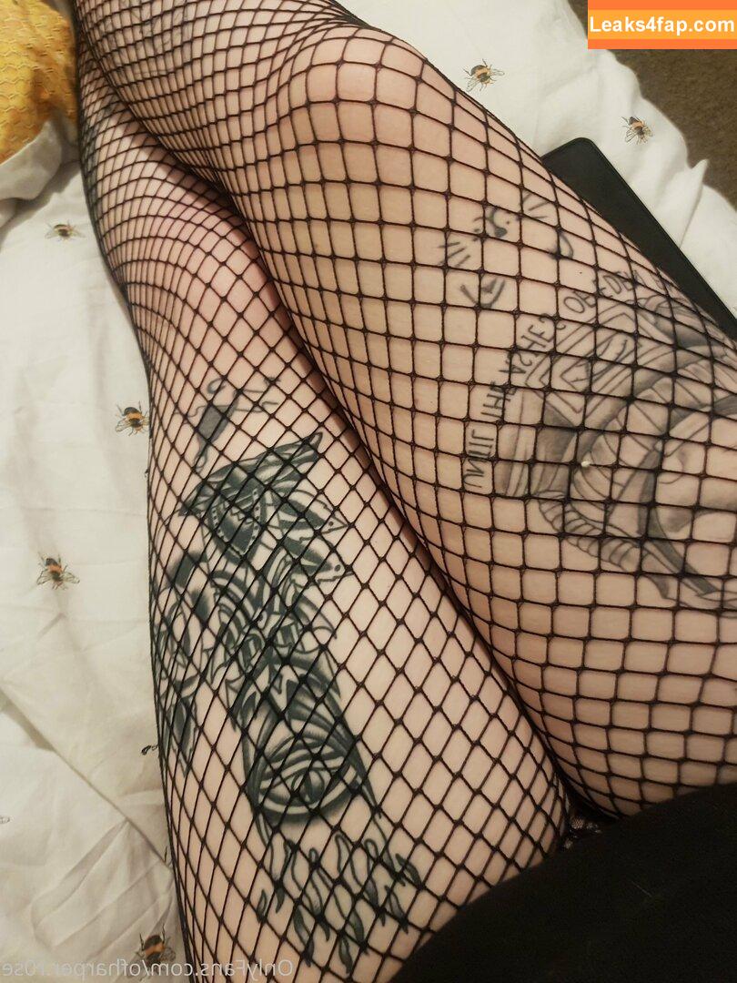 ofharperr0se / hunnyr0se leaked photo photo #0010