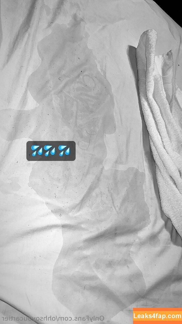 ohhsoyoucartier / ohthatscartier leaked photo photo #0005