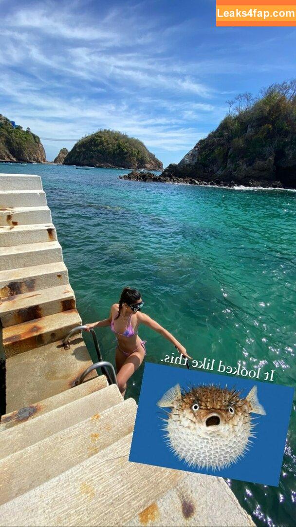 Olivia Munn / oliviamunn leaked photo photo #0149