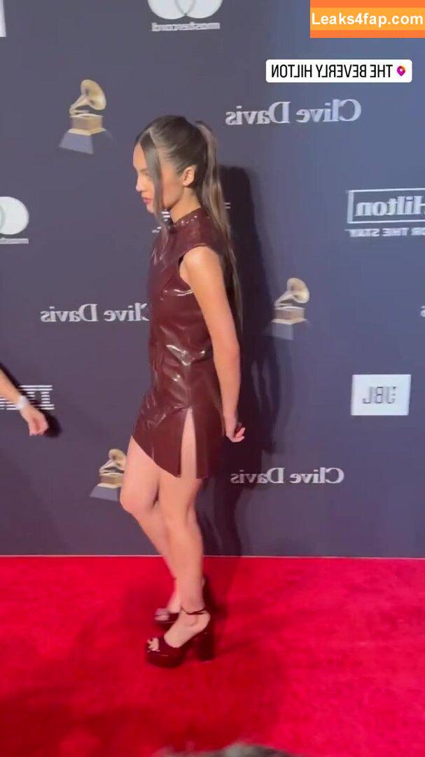 Olivia Rodrigo / oliviarodrigo слитое фото фото #0460