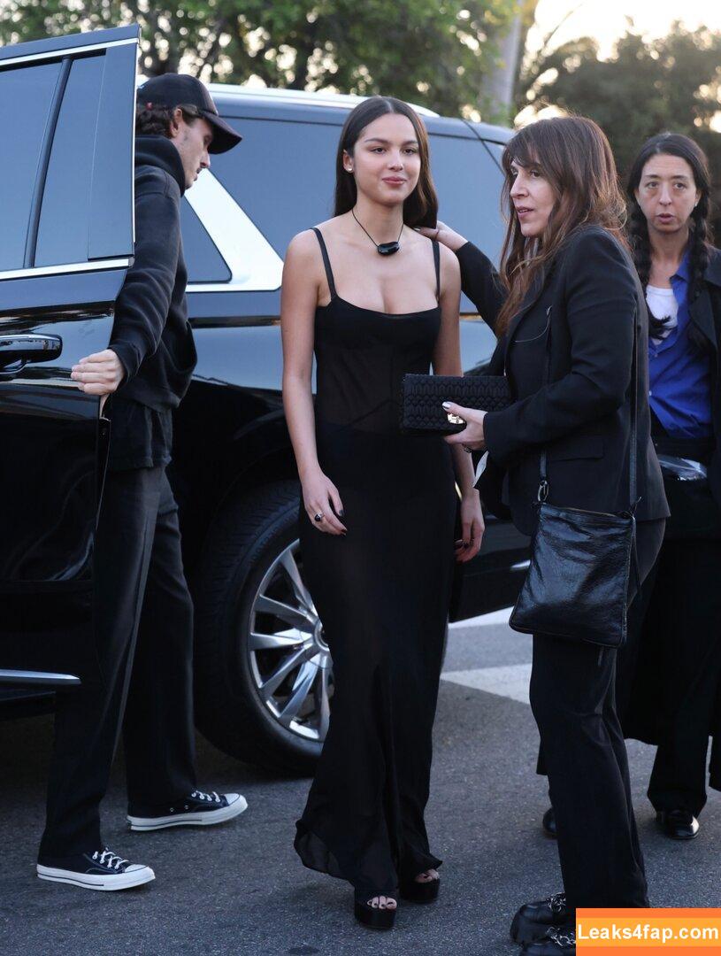 Olivia Rodrigo / oliviarodrigo слитое фото фото #0528