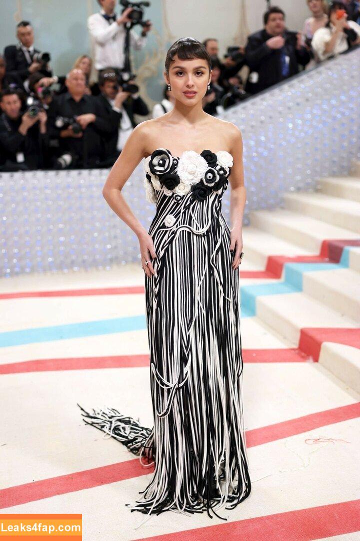 Olivia Rodrigo / oliviarodrigo слитое фото фото #0641