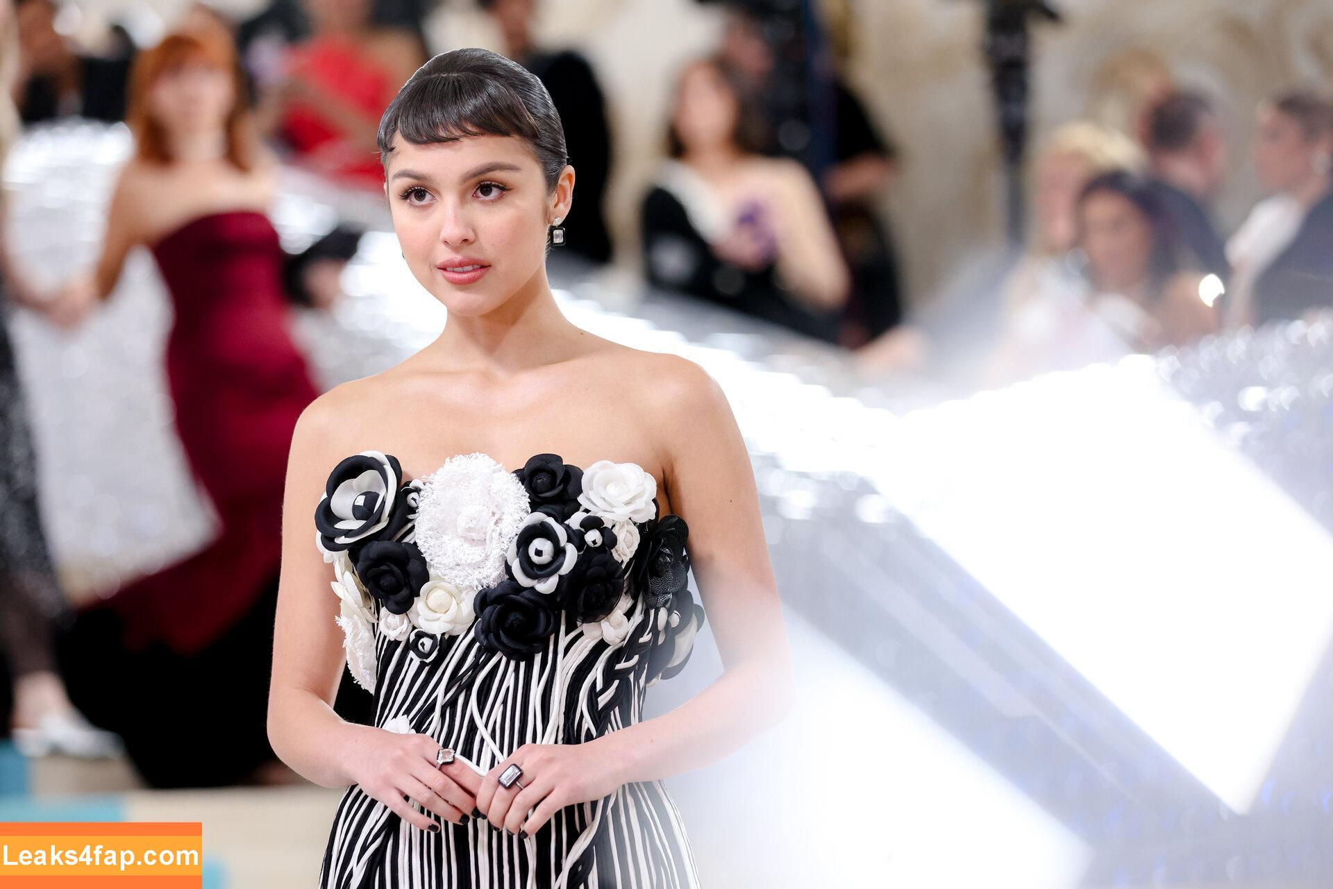 Olivia Rodrigo / oliviarodrigo слитое фото фото #0655