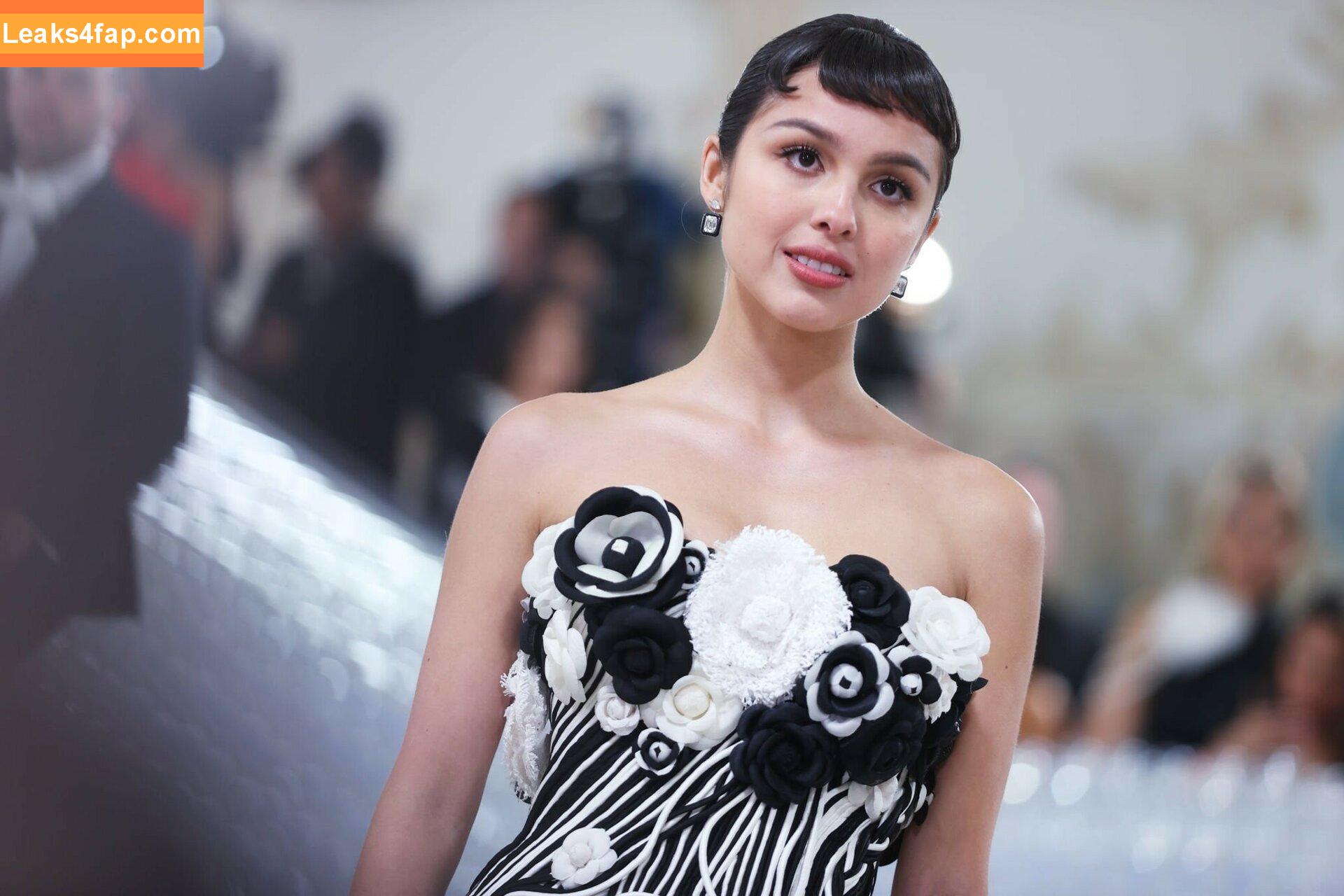 Olivia Rodrigo / oliviarodrigo слитое фото фото #1056