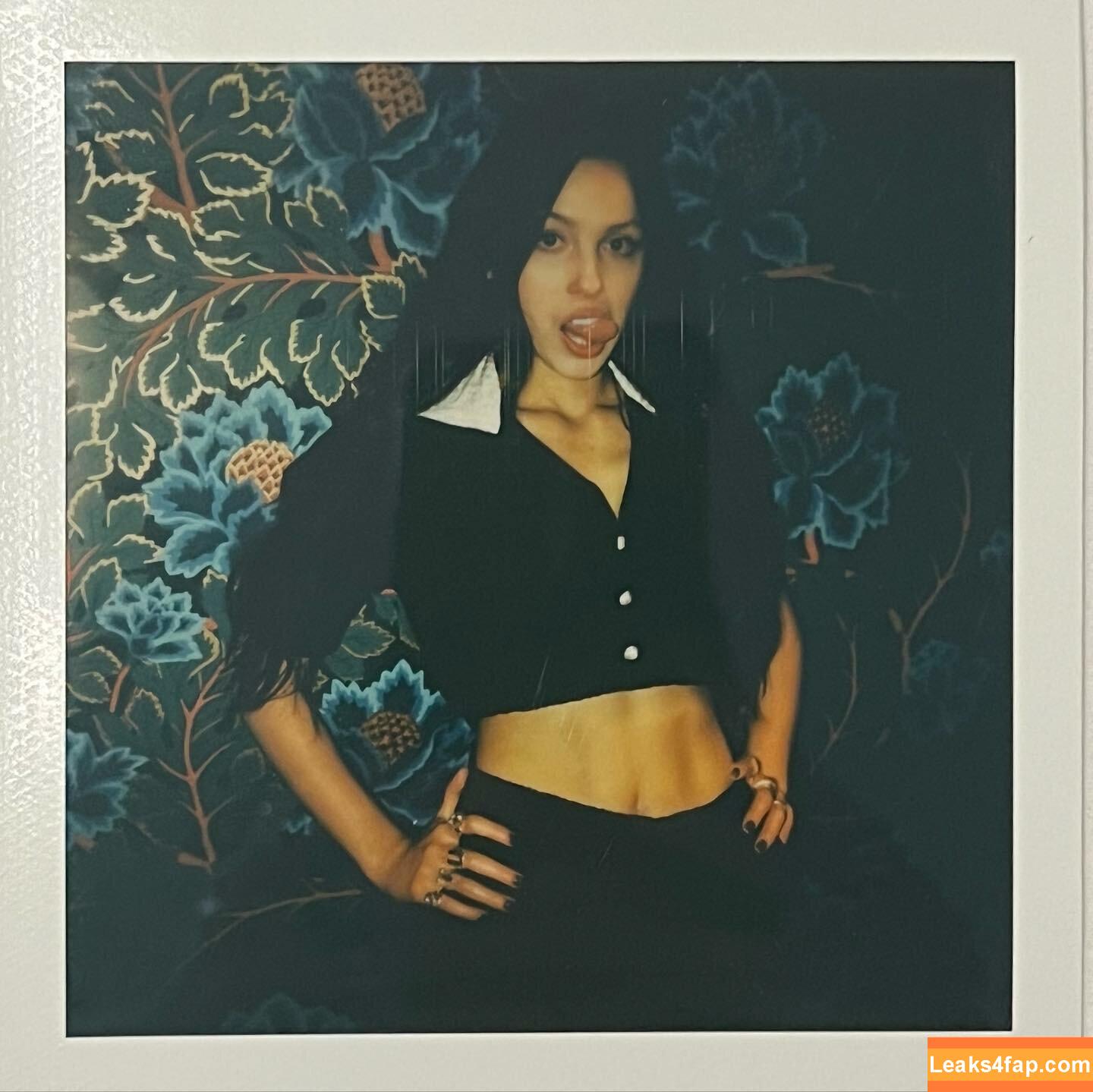Olivia Rodrigo / oliviarodrigo слитое фото фото #1061