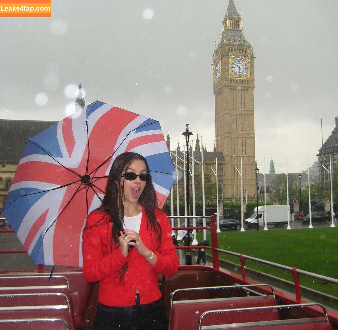 Olivia Rodrigo / oliviarodrigo слитое фото фото #1625