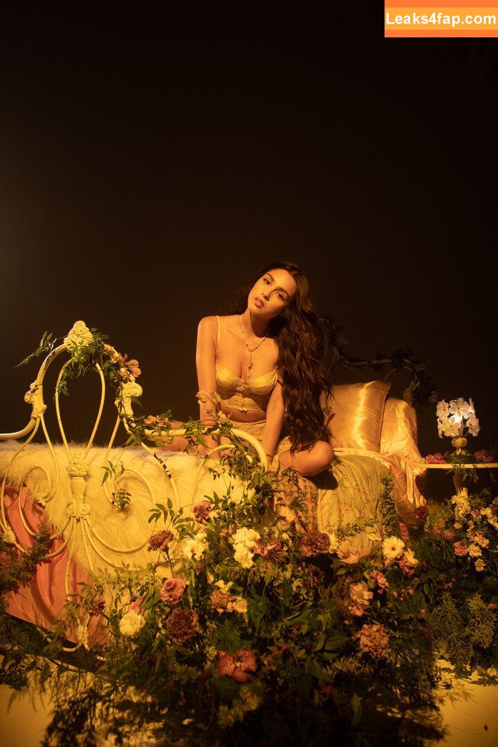 Olivia Rodrigo / oliviarodrigo leaked photo photo #4018