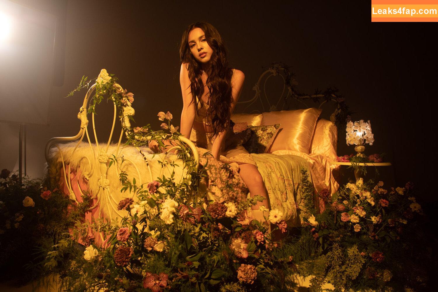 Olivia Rodrigo / oliviarodrigo leaked photo photo #4020