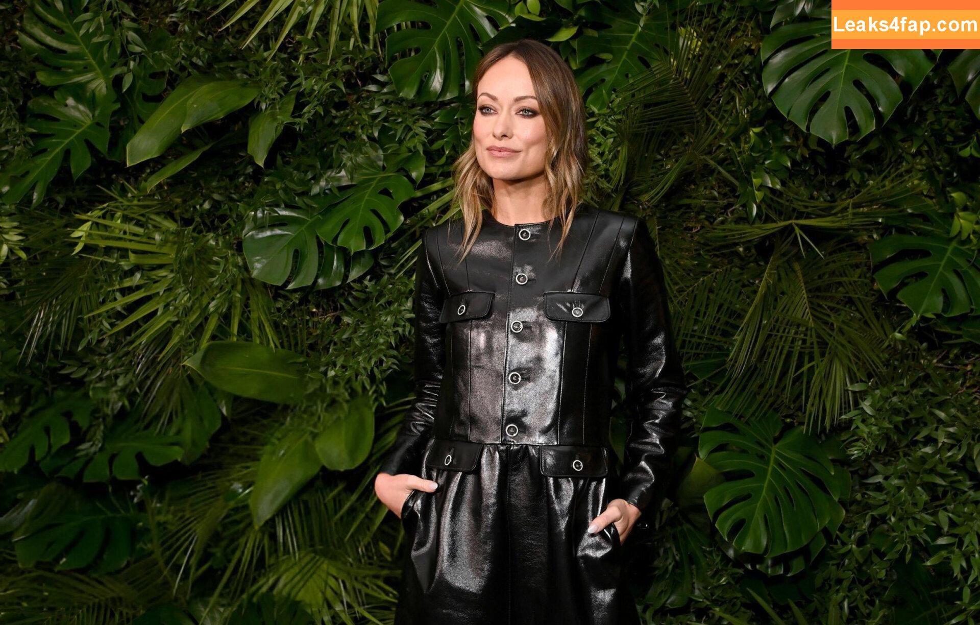 Olivia Wilde / olivia_wilde22 / oliviawilde leaked photo photo #3149