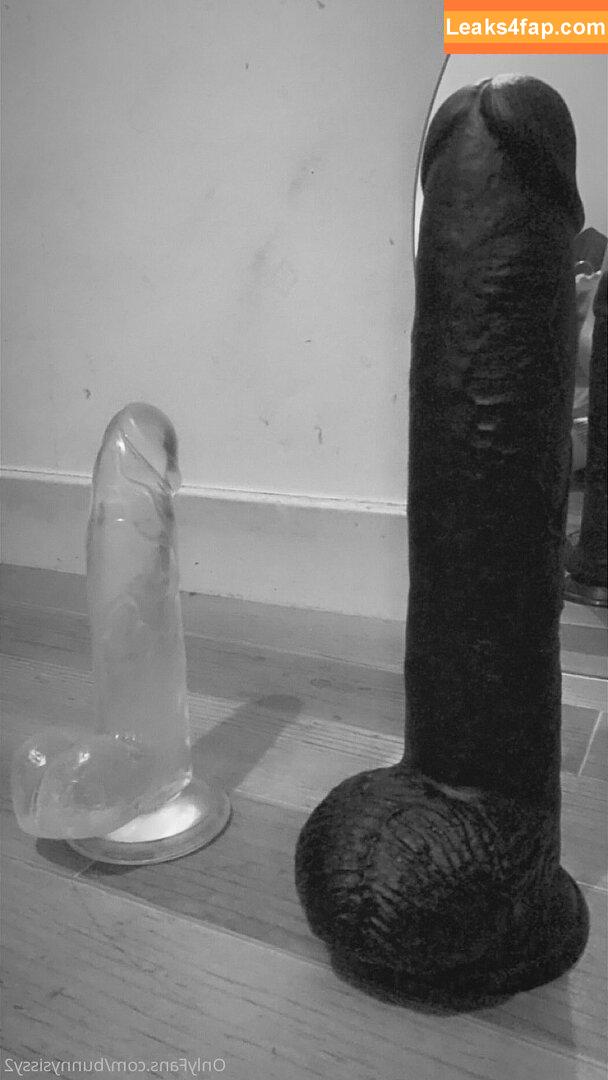 oliviabnwo / bunnysissy2 leaked photo photo #0012