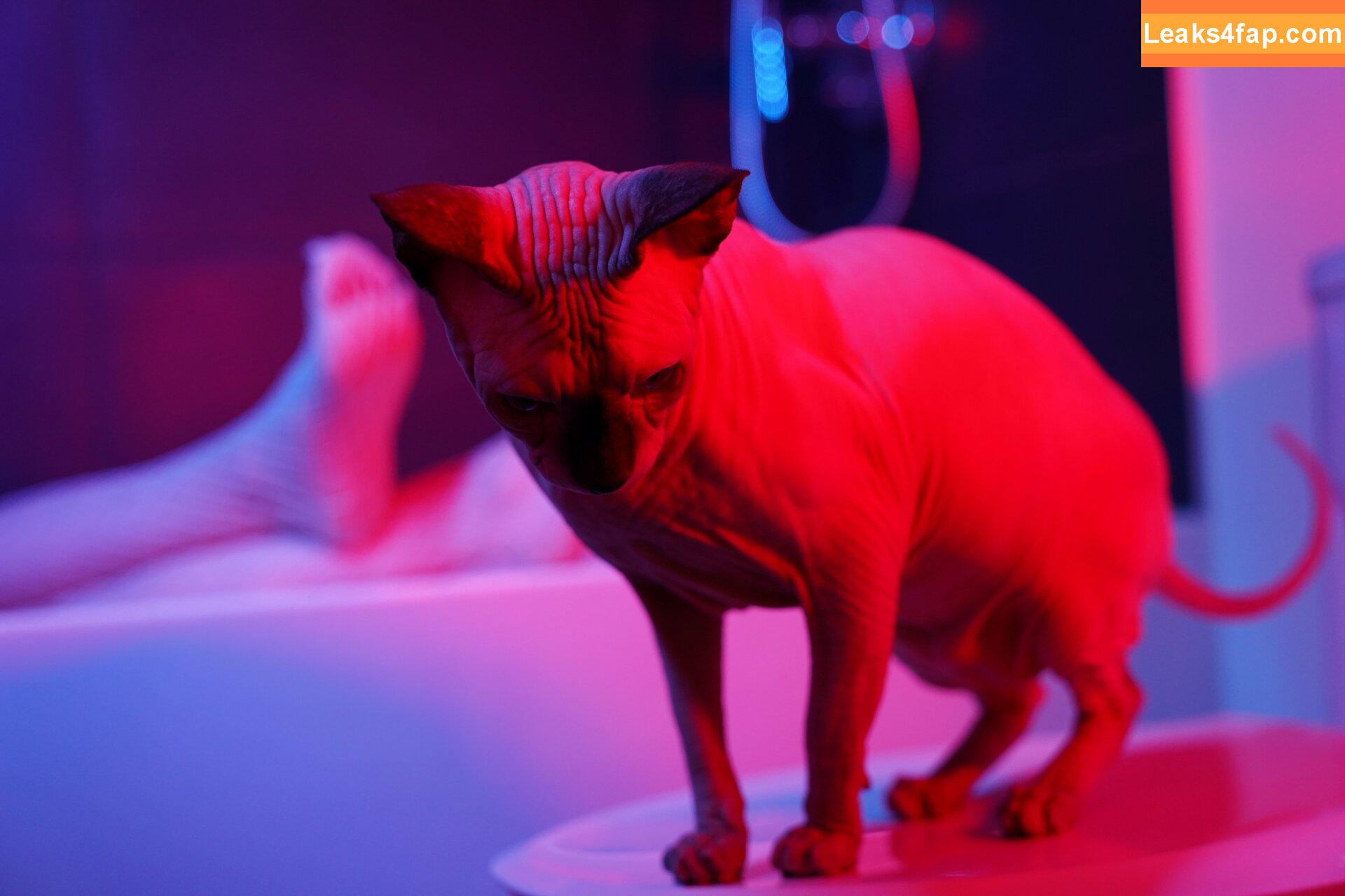 Olyashaa / deepfake / olyashaasaxon leaked photo photo #0629