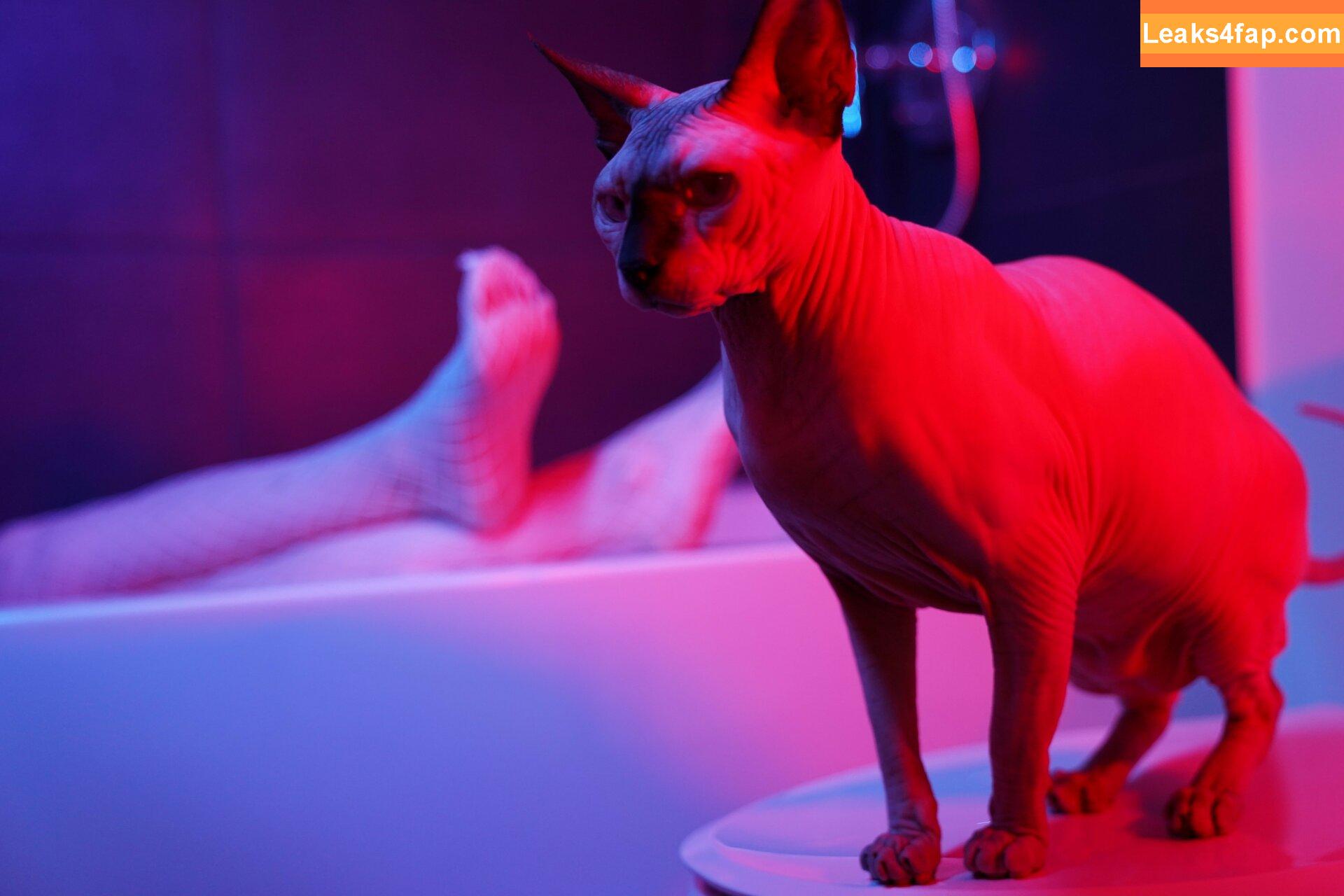 Olyashaa / deepfake / olyashaasaxon leaked photo photo #0640