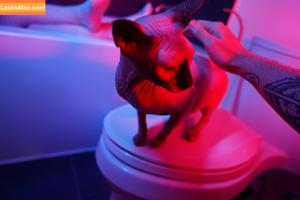 Olyashaa photo #0628