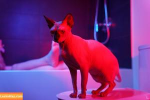 Olyashaa photo #0630