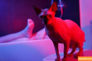 Olyashaa photo #0641