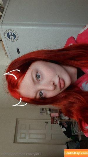 onlybeees photo #0001