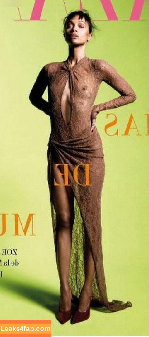 OOPS!!! International /  leaked photo photo #15024