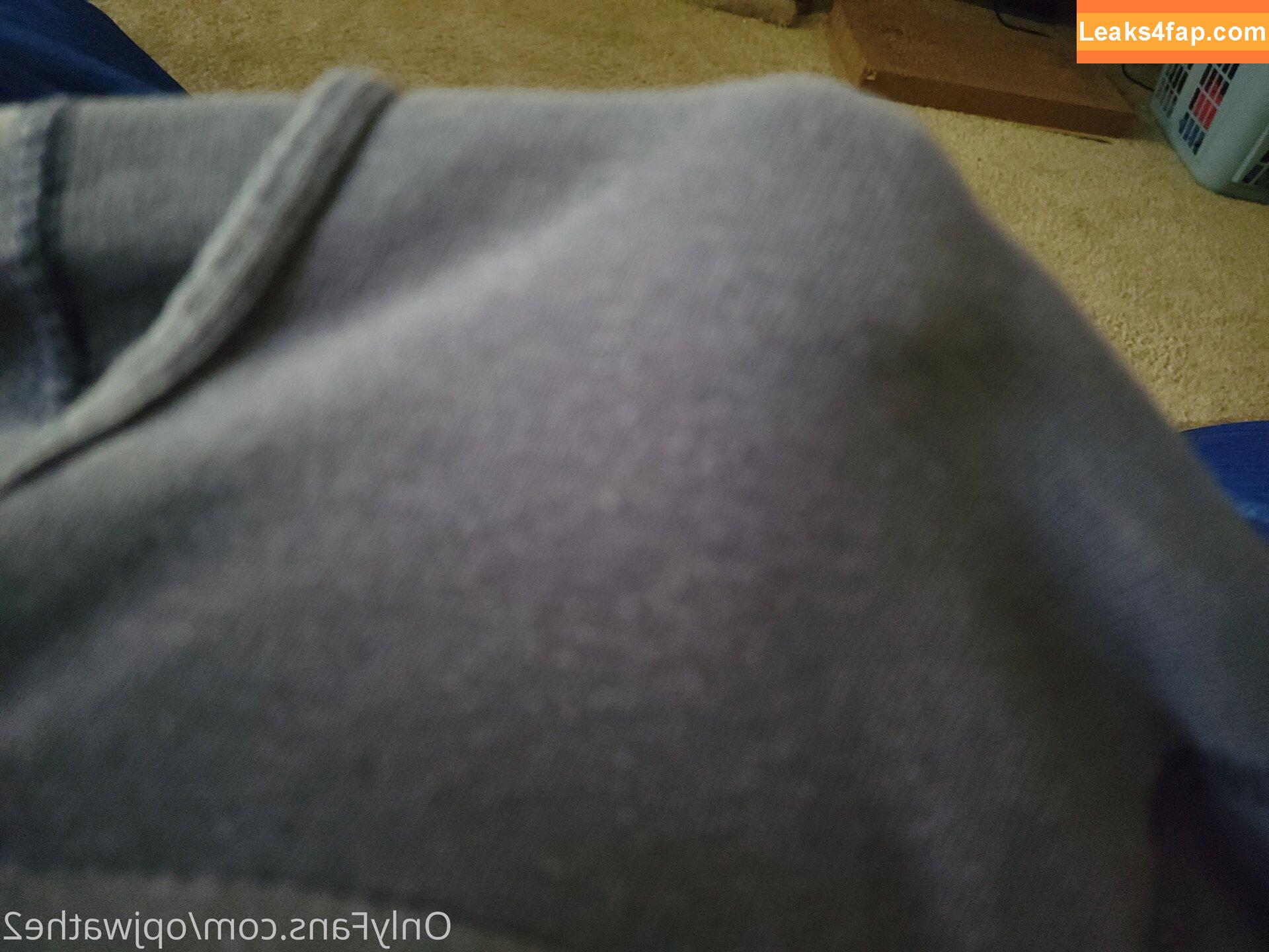 opjwathe2 / katesaveshyrule leaked photo photo #0001