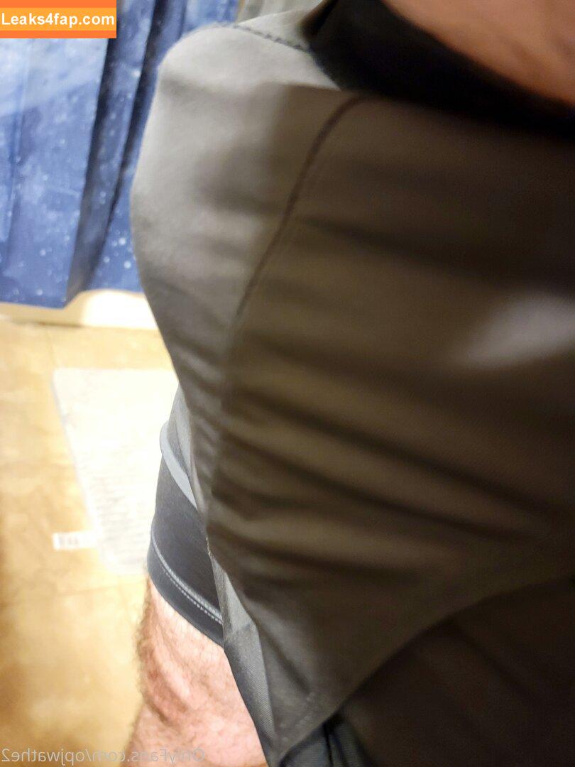 opjwathe2 / katesaveshyrule leaked photo photo #0002
