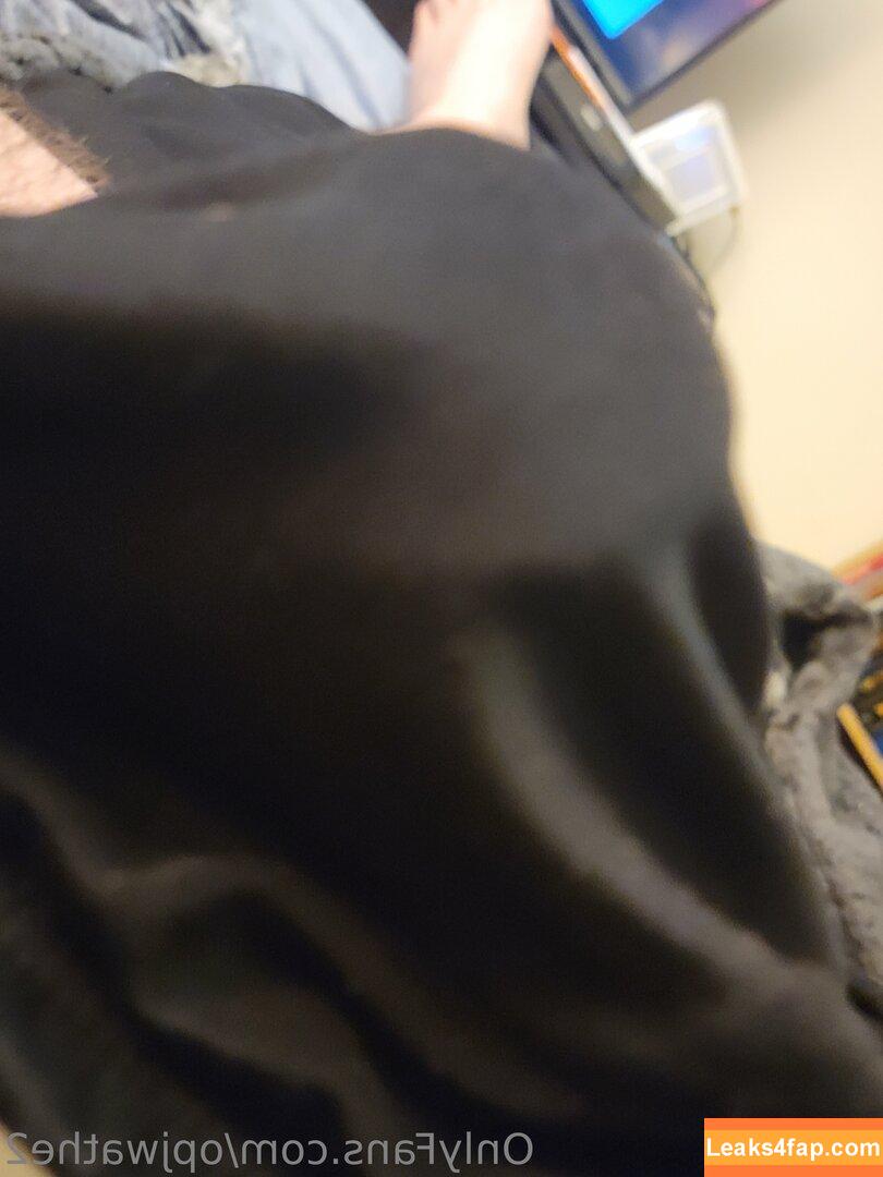 opjwathe2 / katesaveshyrule leaked photo photo #0004