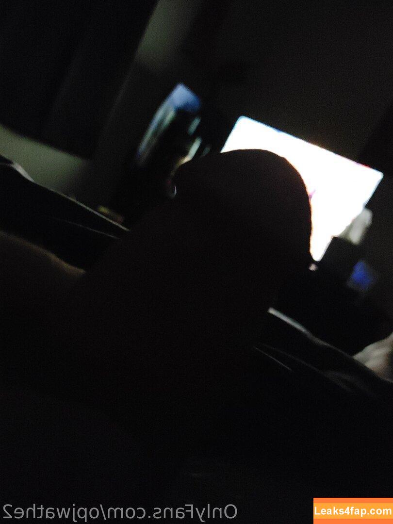 opjwathe2 / katesaveshyrule leaked photo photo #0008