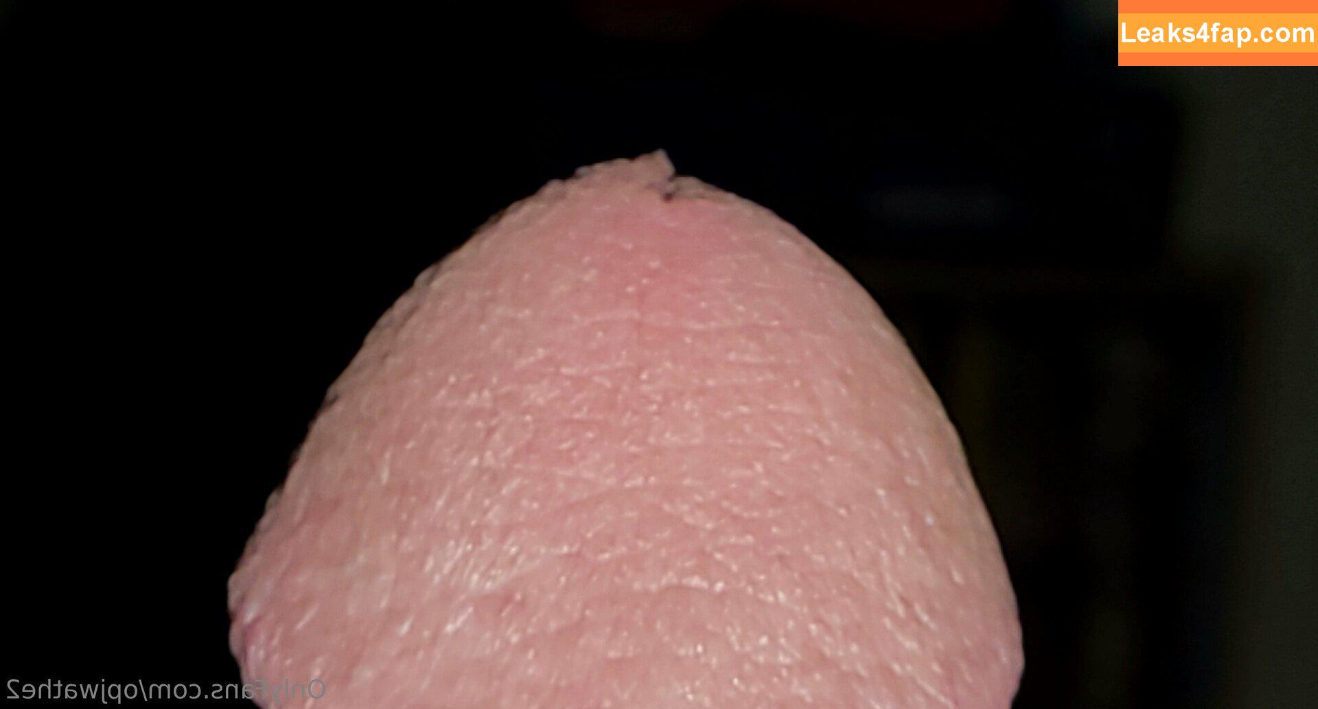 opjwathe2 / katesaveshyrule leaked photo photo #0012