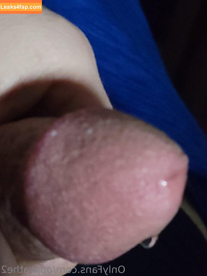 opjwathe2 / katesaveshyrule leaked photo photo #0014