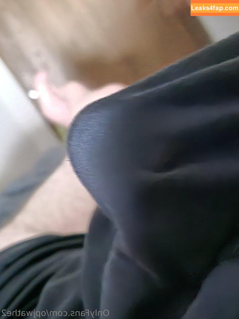 opjwathe2 / katesaveshyrule leaked photo photo #0020