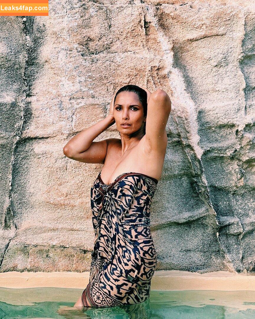 Padma Lakshmi / PadmaLakshmi leaked photo photo #0102