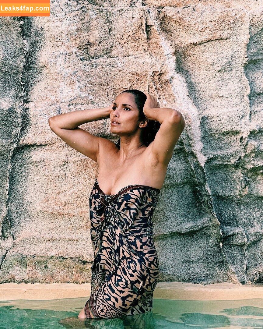 Padma Lakshmi / PadmaLakshmi leaked photo photo #0103