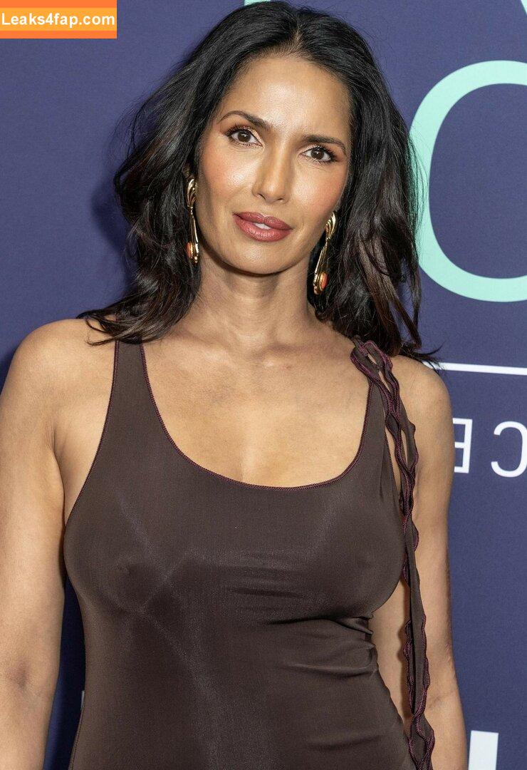 Padma Lakshmi / PadmaLakshmi leaked photo photo #0134