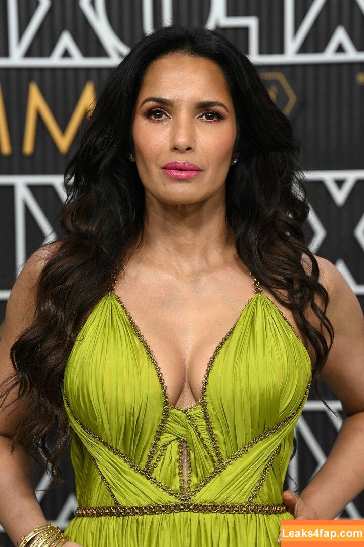 Padma Lakshmi / PadmaLakshmi leaked photo photo #0209