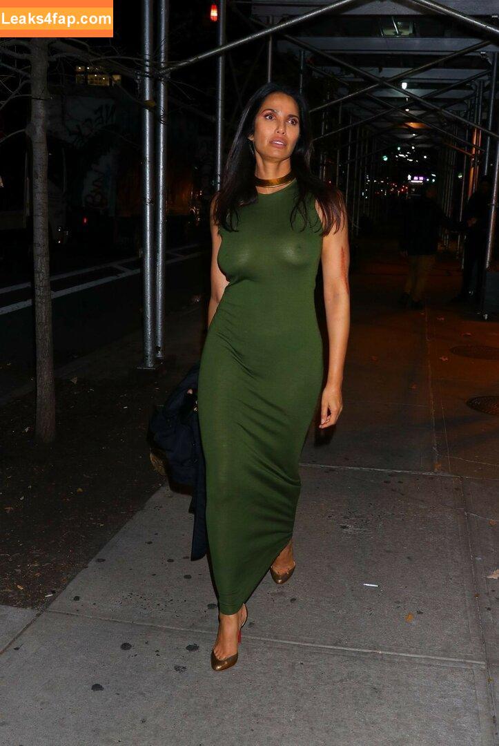 Padma Lakshmi / PadmaLakshmi leaked photo photo #0223